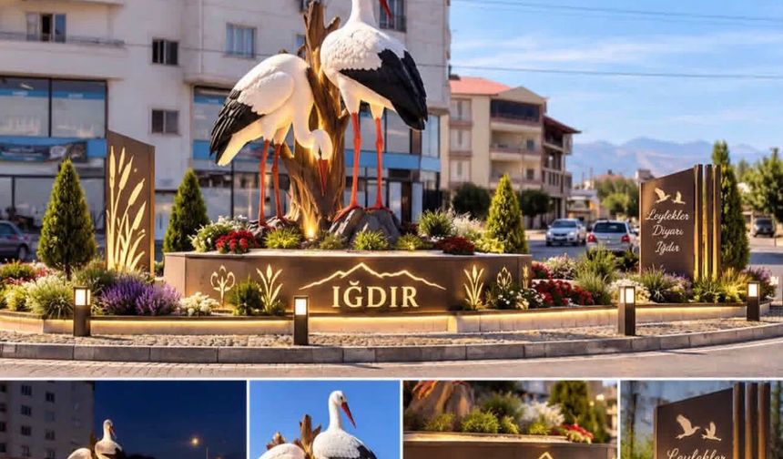 Iğdır Şehir Girişindeki Leylekler İçin Işıklandırma Talebi Artıyor