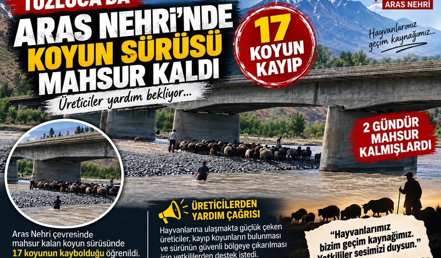 Aras Nehri’nde 17 Koyun Kayıp