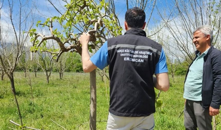 Çiftçilere sahada teknik destek