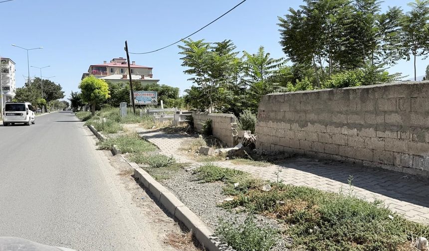 Iğdır’da Hastane Yolu Bakımsızlığa Terk Edildi: Orta Refüj ve Kaldırımlar Ottan, Çöpten Geçilmiyor