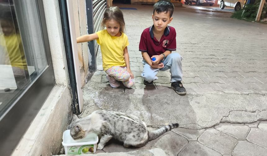 Minik Yüreklerden Örnek Davranış: Sokak Kedisine Can Suyu Oldular