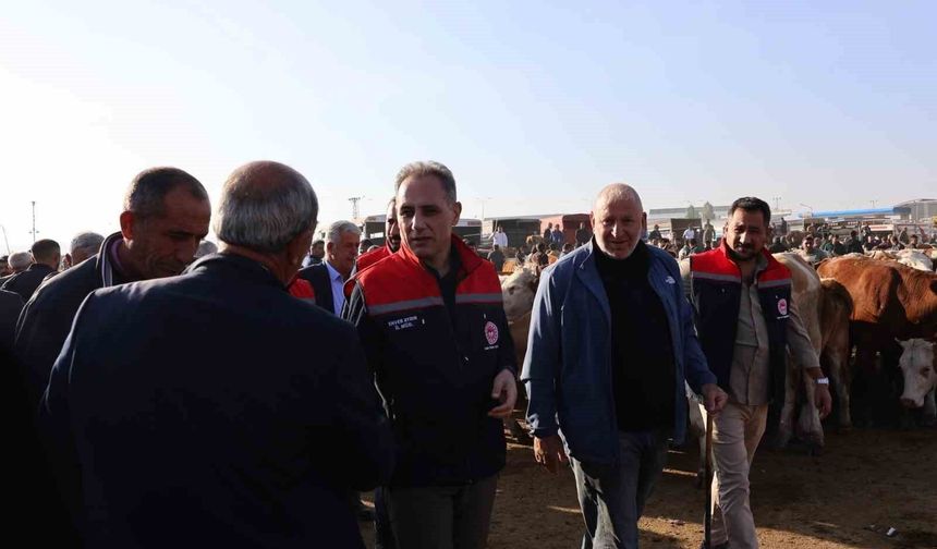 Kars Hayvan Pazarı'nda sıkı denetim: Hayvan hareketliliğine sağlık ve güvenlik filtresi