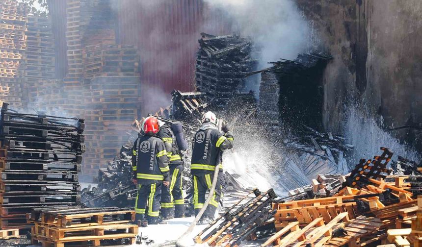 Palet fabrikasında korkutan yangın