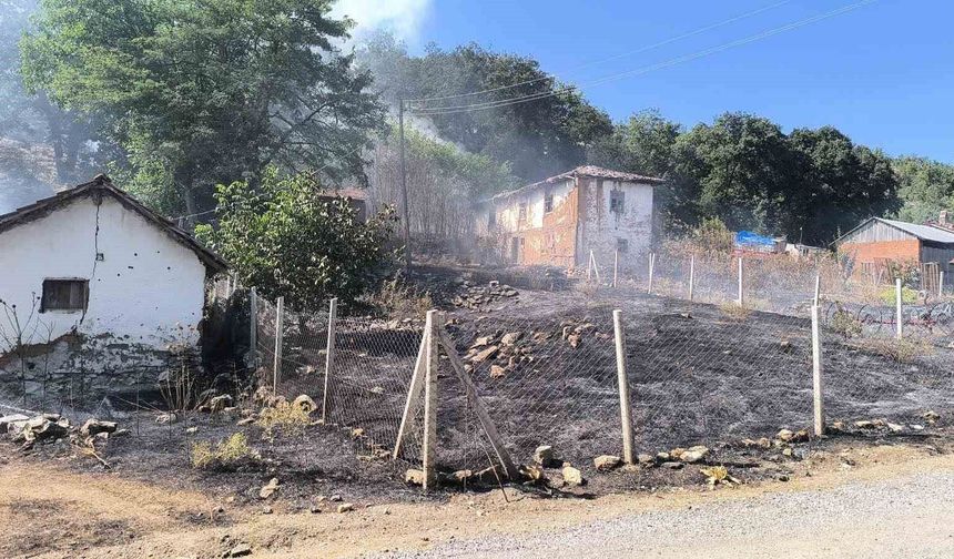Yangınına sebebiyet veren şahıs gözaltına alındı