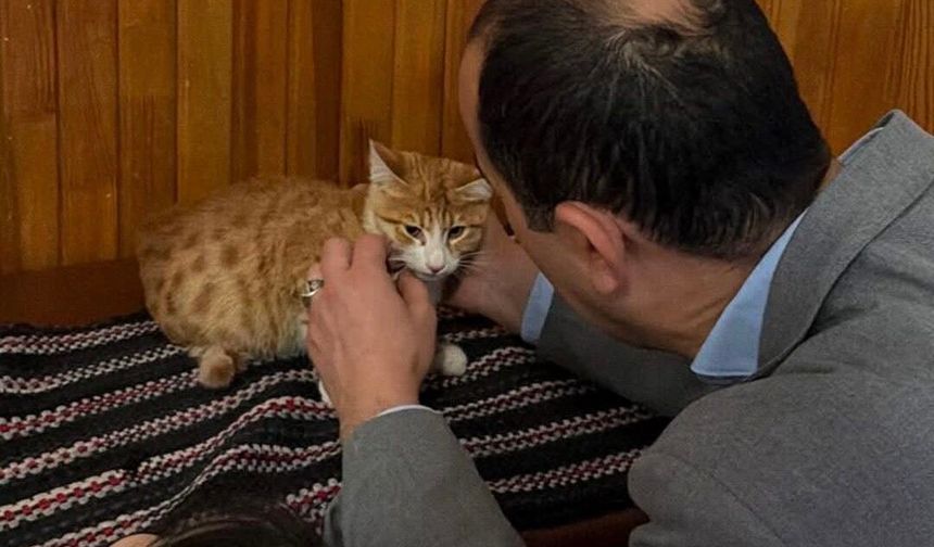 IĞDIR VALİSİ TAŞOLAR, YAREN VE BALKIZ’I TANITTI