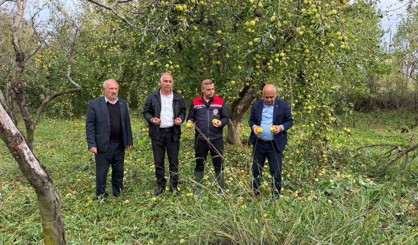 IĞDIR’DA MEYVE BAHÇELERİ VE TARIM ARAZİLERİNİ DOLU VURDU: SAHADA HASAR TESPİT ÇALIŞMALARI BAŞLADI