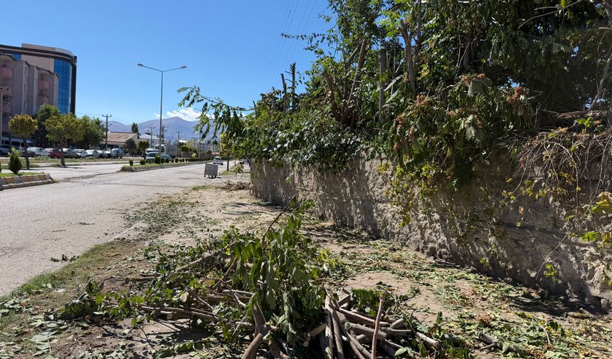 IĞDIR’DA ELEKTRİK KABLOLARINA DEĞEN AĞAÇLAR BUDANDI