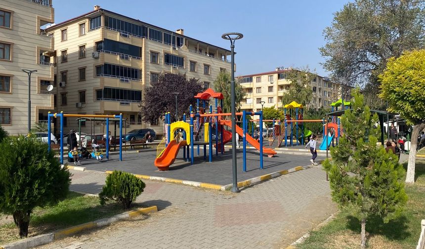 Güneşli Havanın Tadını Çıkardılar