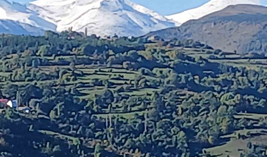 Doğada 'Üç renk' bir arada