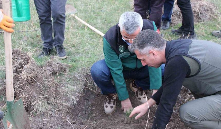 DSİ ve orman teşkilatından 'Yeşil Vatan' için güç birliği: İlk fidanlar toprakla buluştu