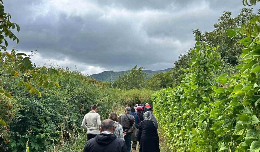 Eskişehirli kadın çiftçiler Kütahya'da üretim alanlarını inceledi