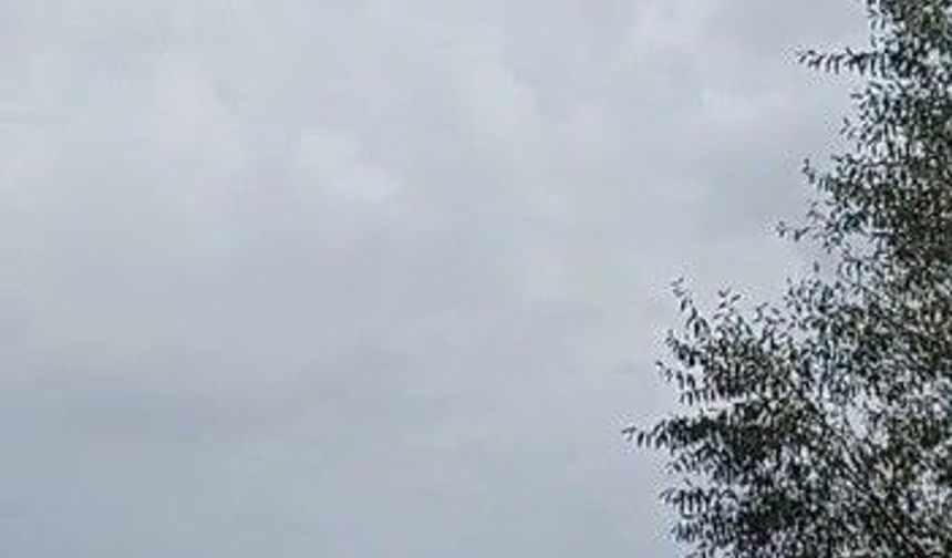 Yürekleri ısıtan görüntüler