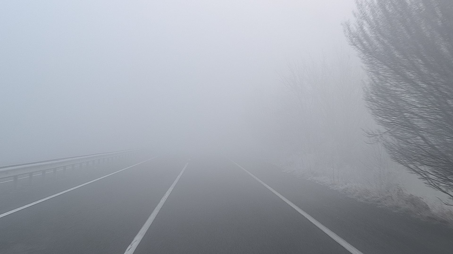 Iğdır''da yoğun sis sürücülere zor anlar yaşattı