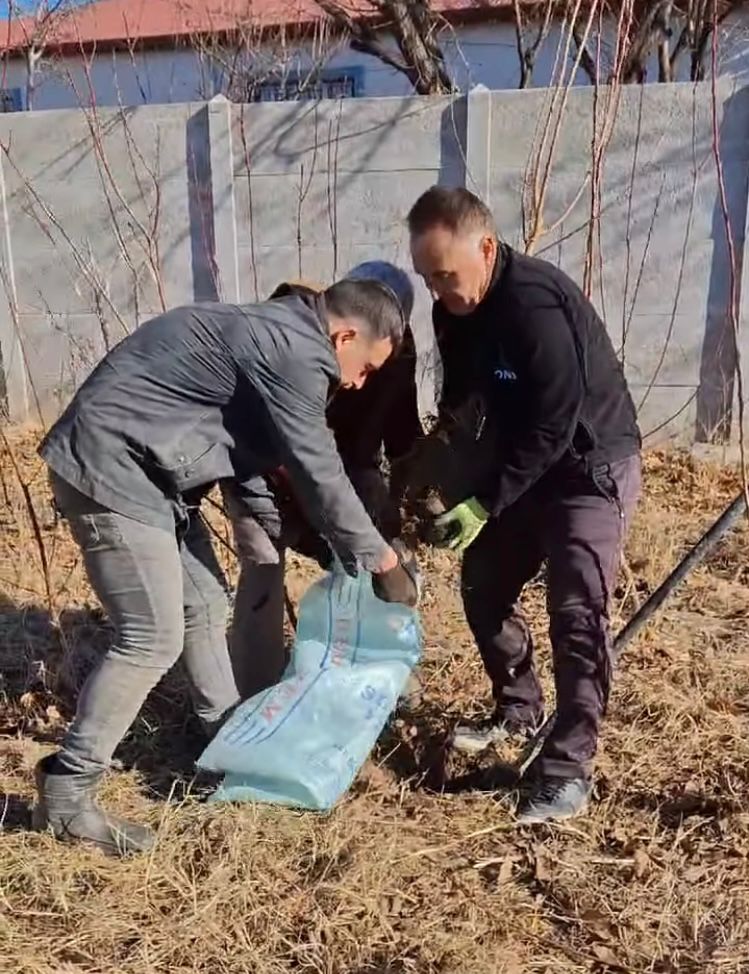 Orman Müdürü Taner Tazegün 2025 Yılının İlk Fidanlarını Toprakla Buluşturdu