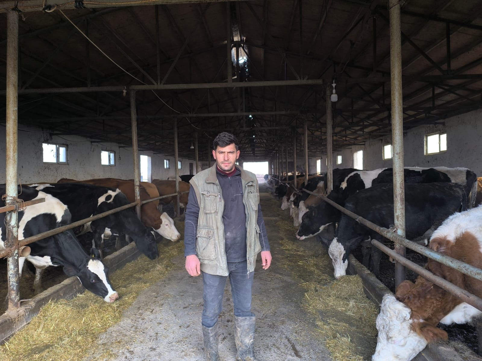 Iğdırlı Süt Üreticileri: “Yeni Yılda Süt Alım Fiyatı 20 Lira Olmalı”