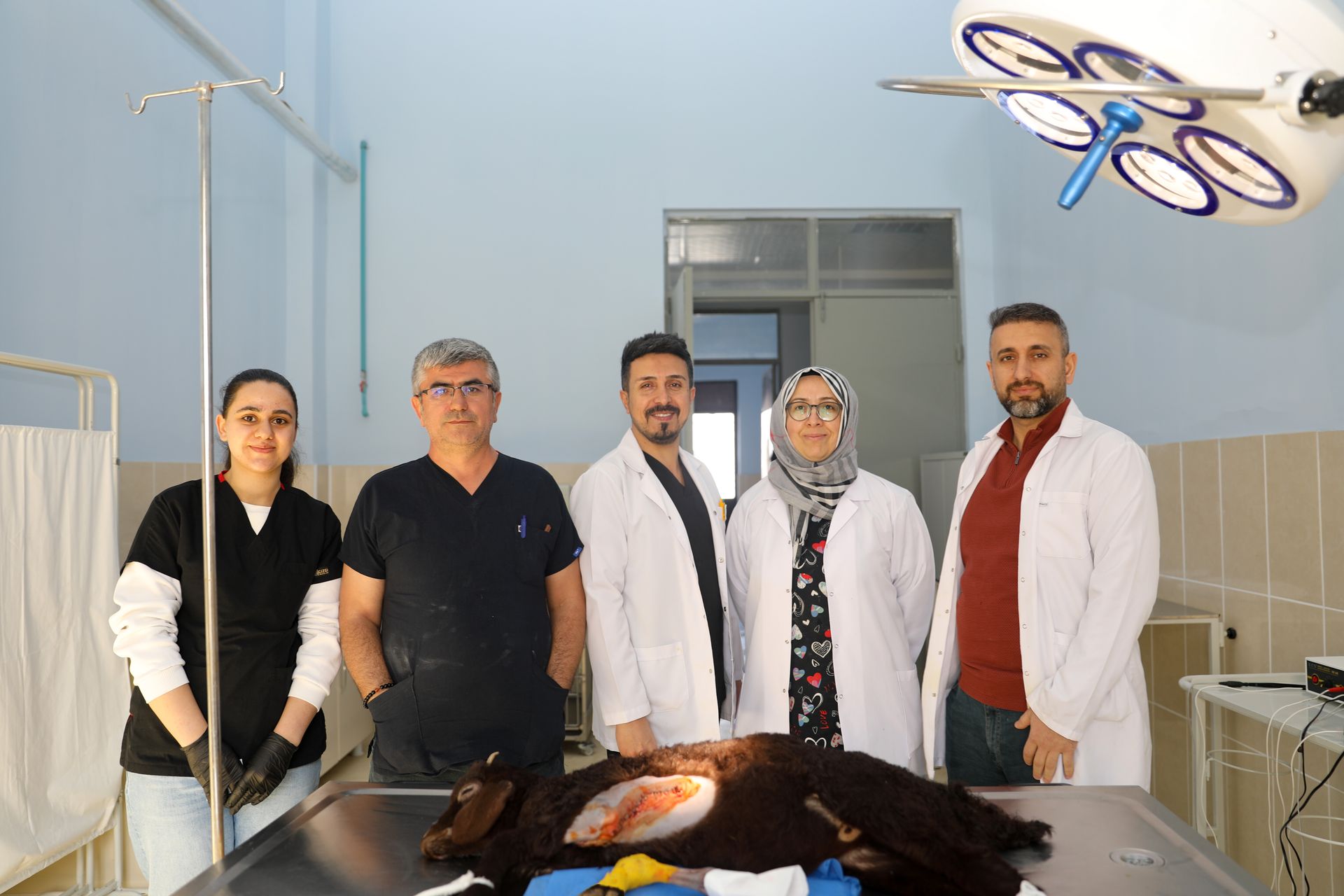     Iğdır''da 5 Bacaklı Kuzu Dünyaya Geldi