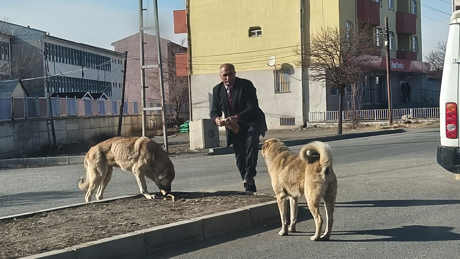 Başkan Kamber Güzelkaya, Sokak hayvanlarını unutmayalım