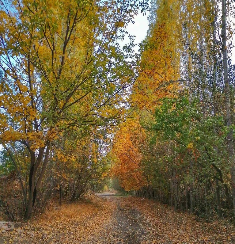 AĞRI DAĞININ GÖLGESİNDEKİ KARDEŞ ŞEHİRLER: IĞDIR