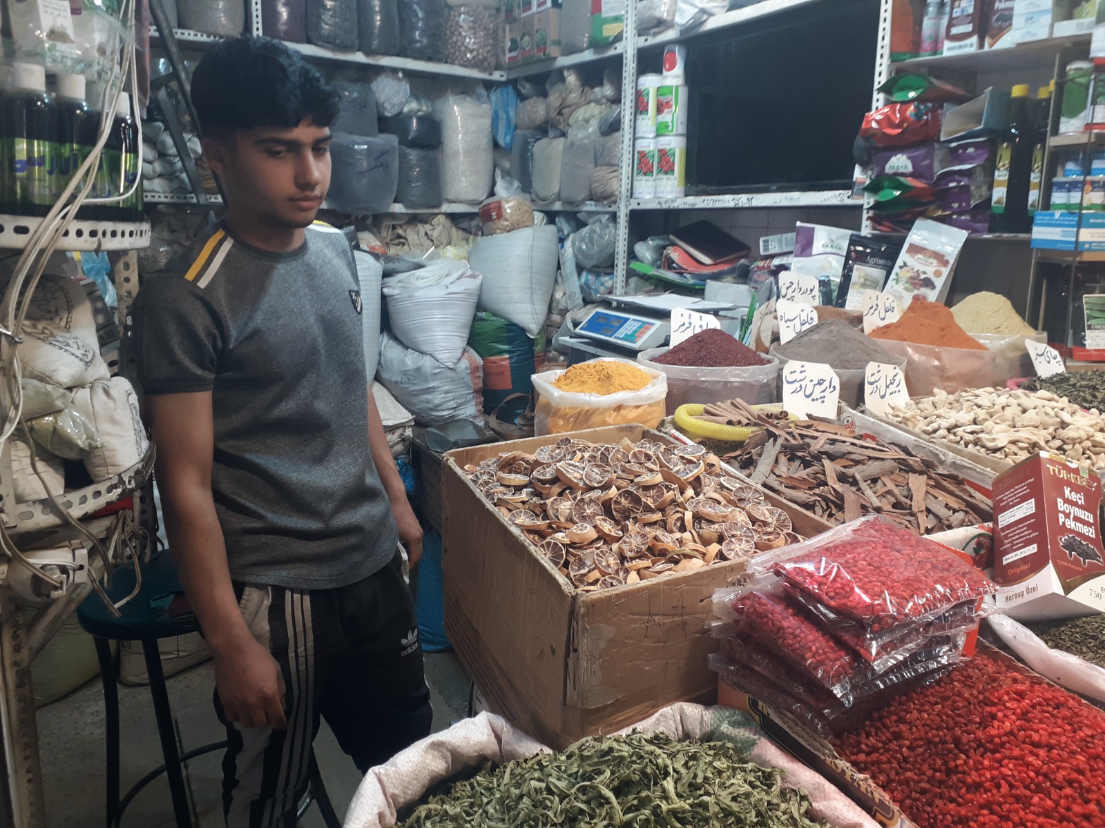 AĞRI DAĞININ GÖLGESİNDEKİ KARDEŞ ŞEHİRLER: IĞDIR