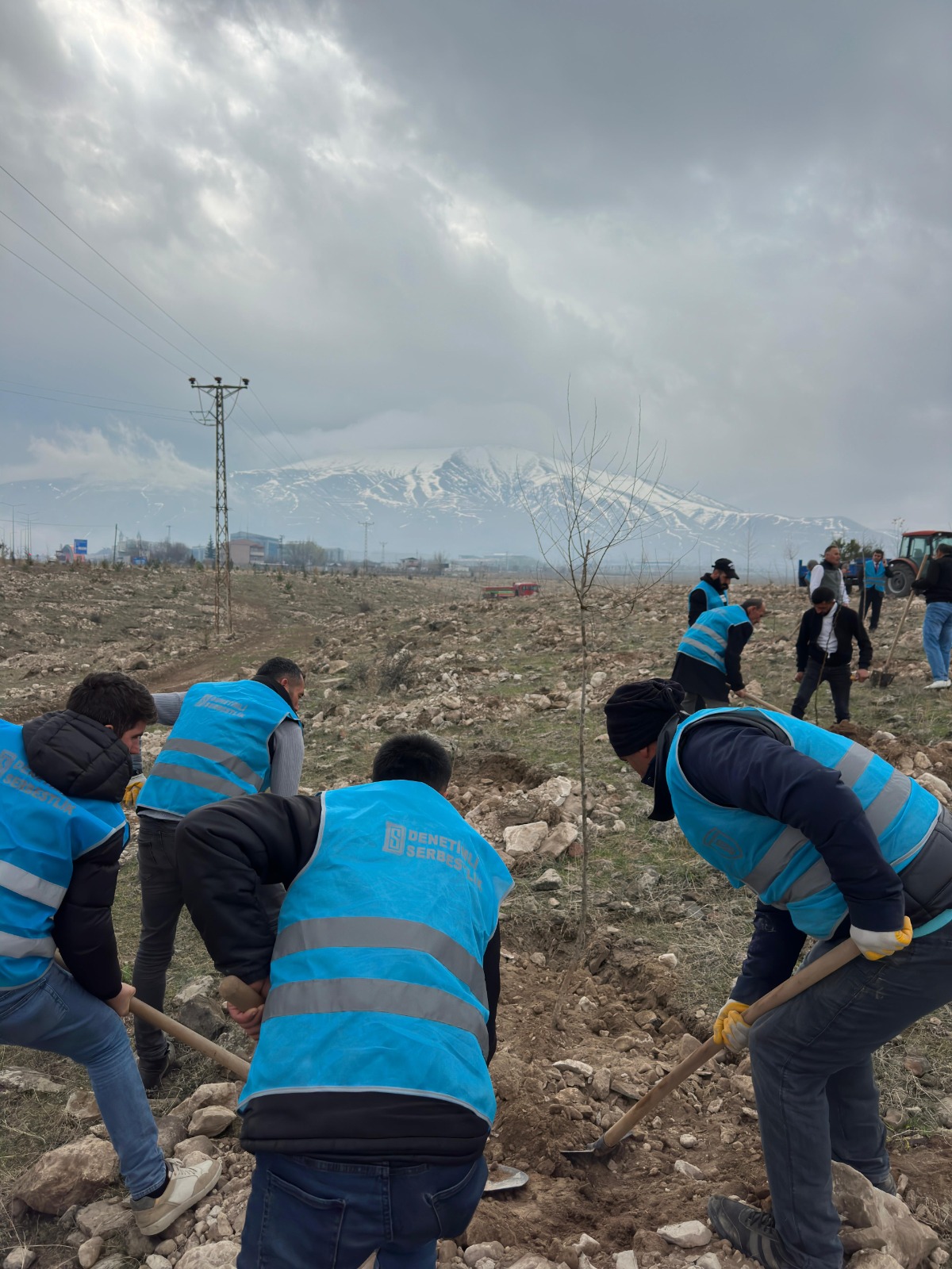 Hükümlülerden Orman Haftası''na Özel Fidan Dikimi