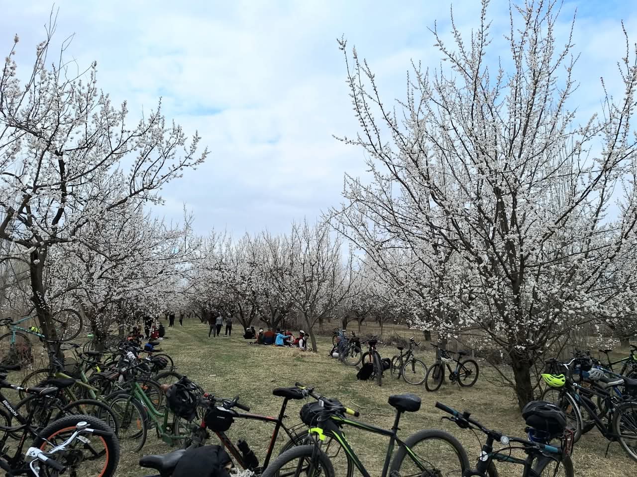 Bisiklet Turu''nda Nevruz Yumurtası Tokuşturuldu