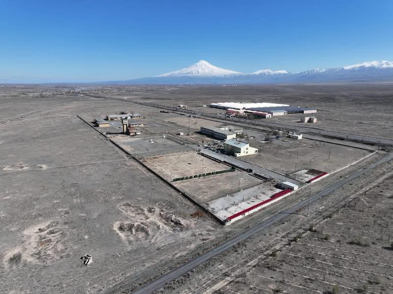 Iğdır Valiliği Sahipsiz Hayvanlara Sahip Çıkıyor