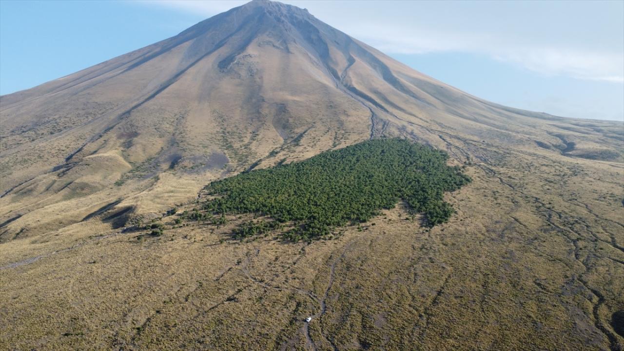 Üç Ülke, Tek Zirve: Küçük Ağrı Dağı Atatürk''ü Anma, Gençlik ve Spor Tırmanışı