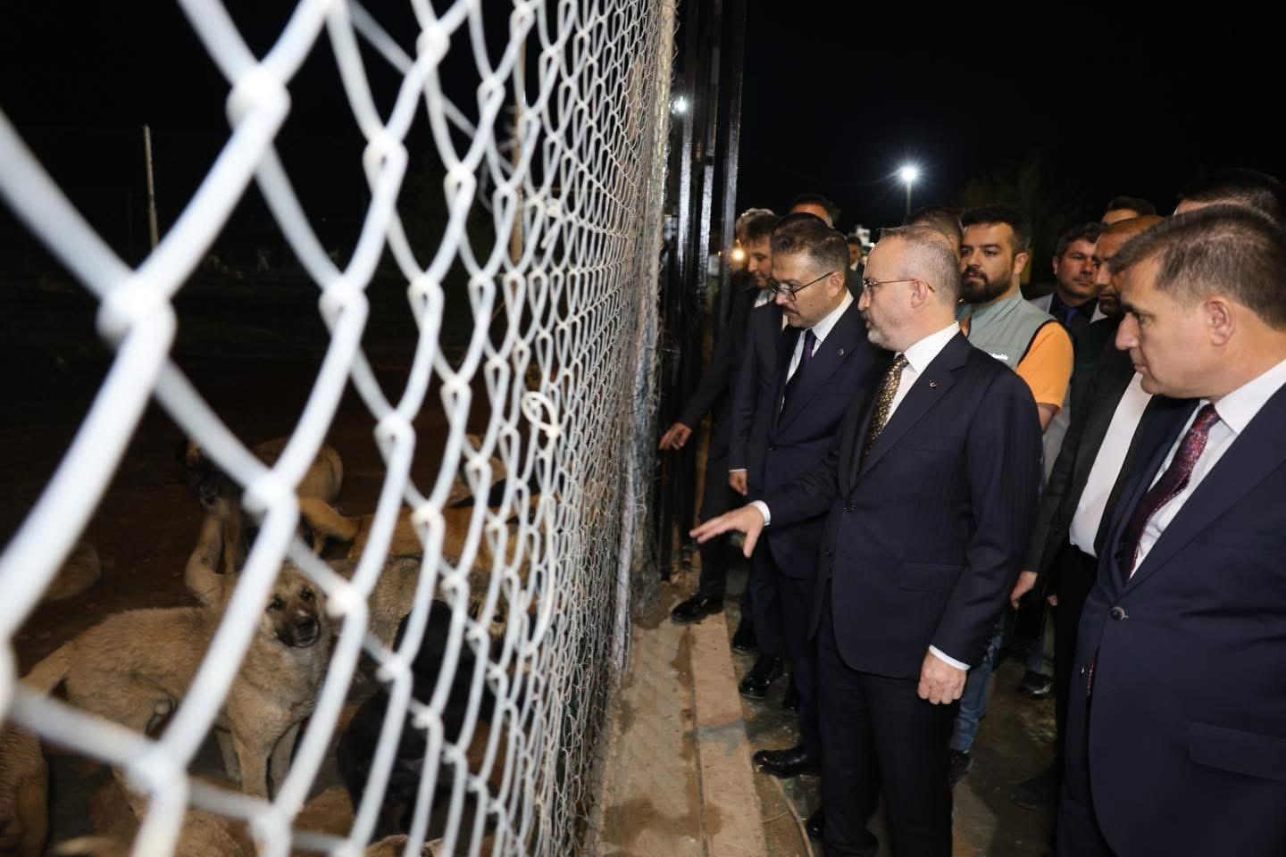 Bakan Yardımcısı ve Vali Başkanlığında Hayvanları Koruma Toplantısı
