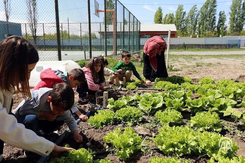 Oba Köyü İlkokulu