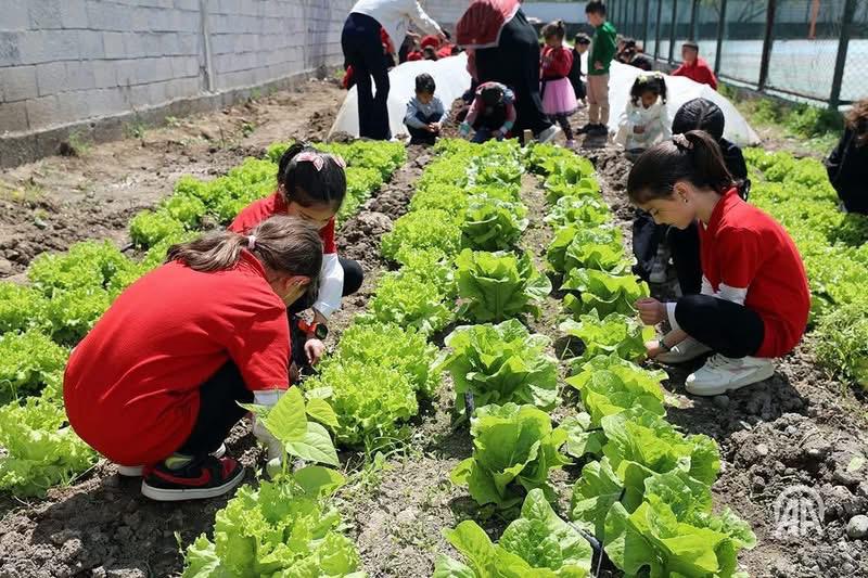 Oba Köyü İlkokulu