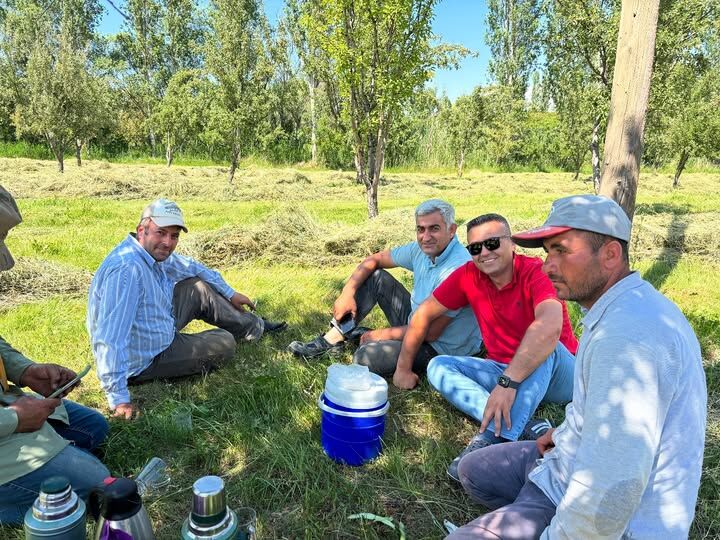 Iğdır''da Ot Balyası Fiyatları Yükselişte: Hayvancılığın Merkezi Iğdır''da  Çiftçinin Yüzü Güldü