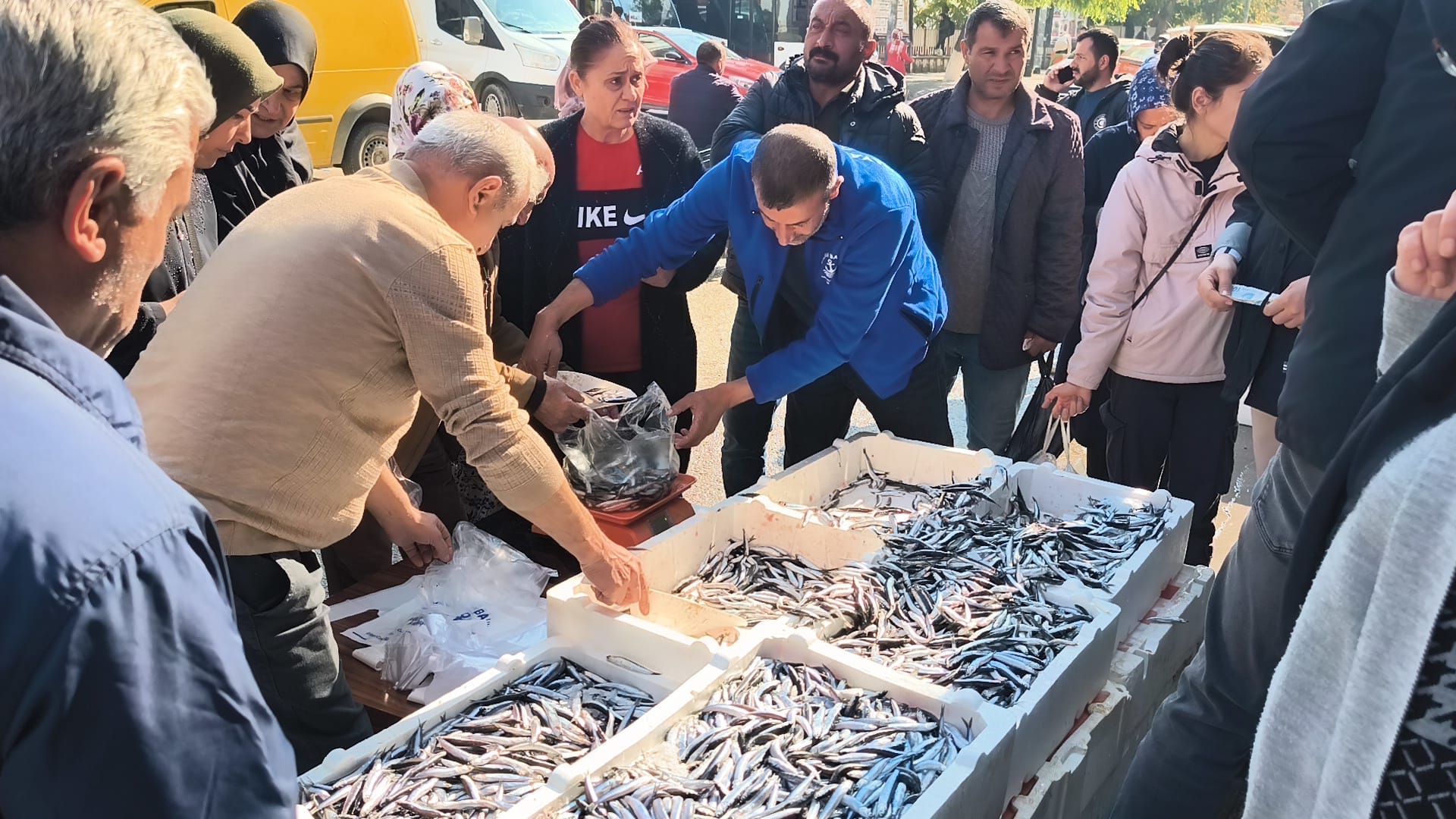 0B7A2B94 9Efd 47Cb B9E5 Da16134D0F64