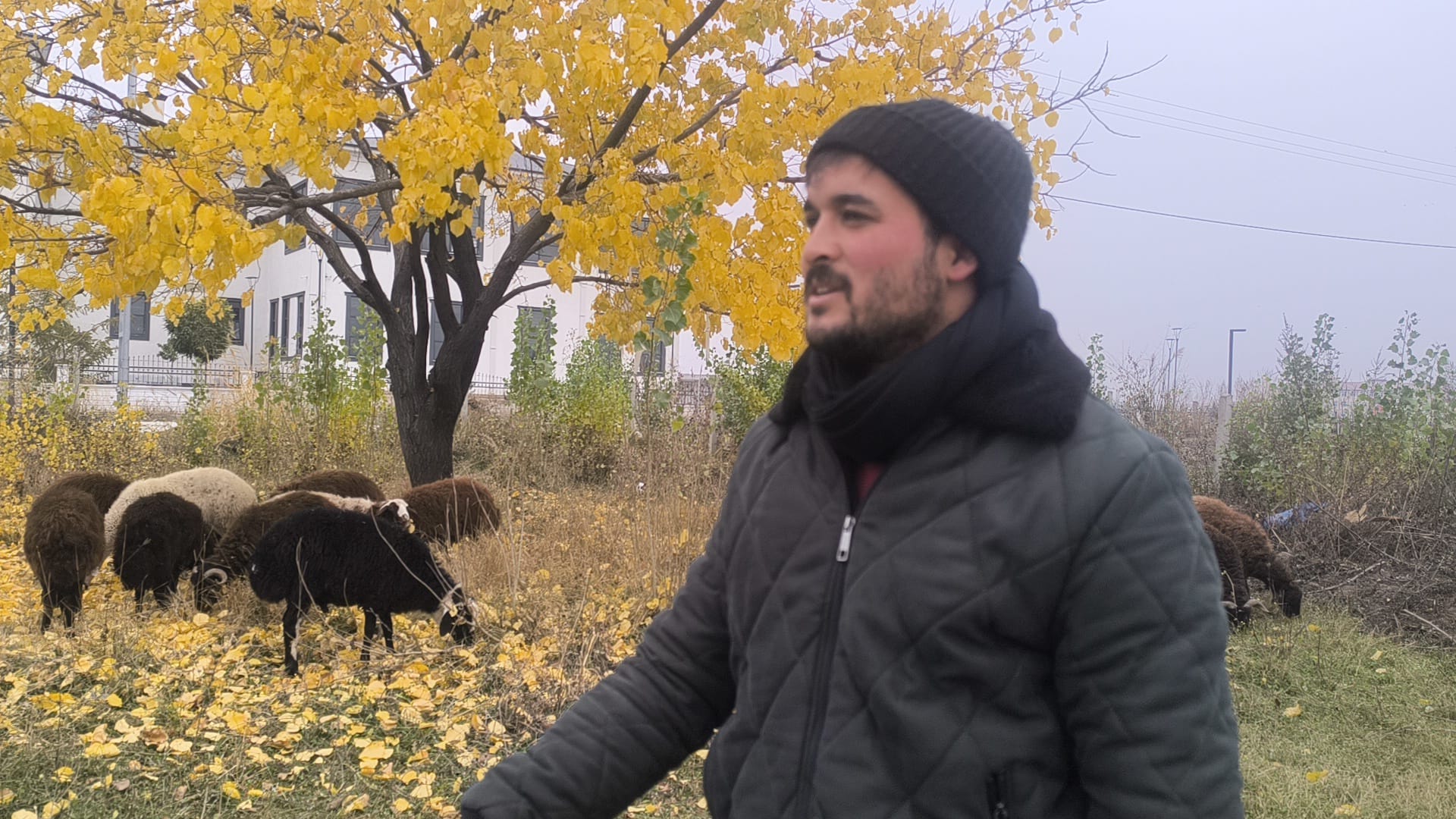 21E355C9 D59F 477E 870A E9239767Ee91