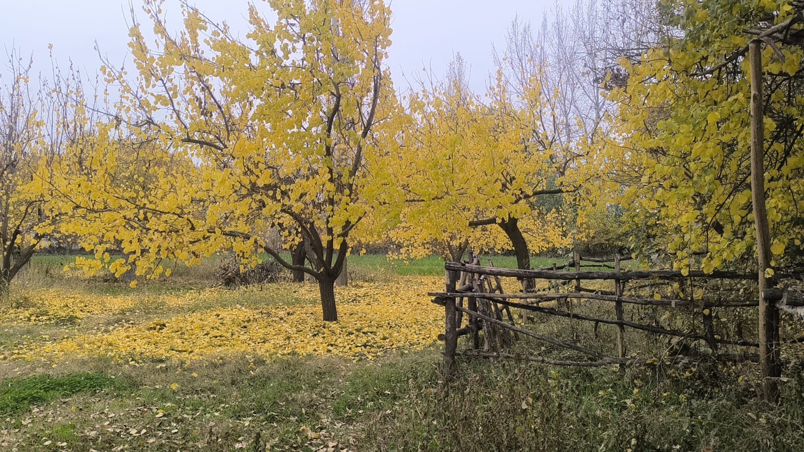 22C65510 9B03 4157 9644 F83A469Cbb72