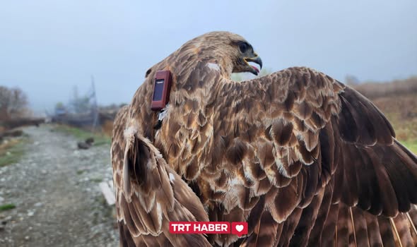 573876814 1261283722700659 6434325319067778700 N