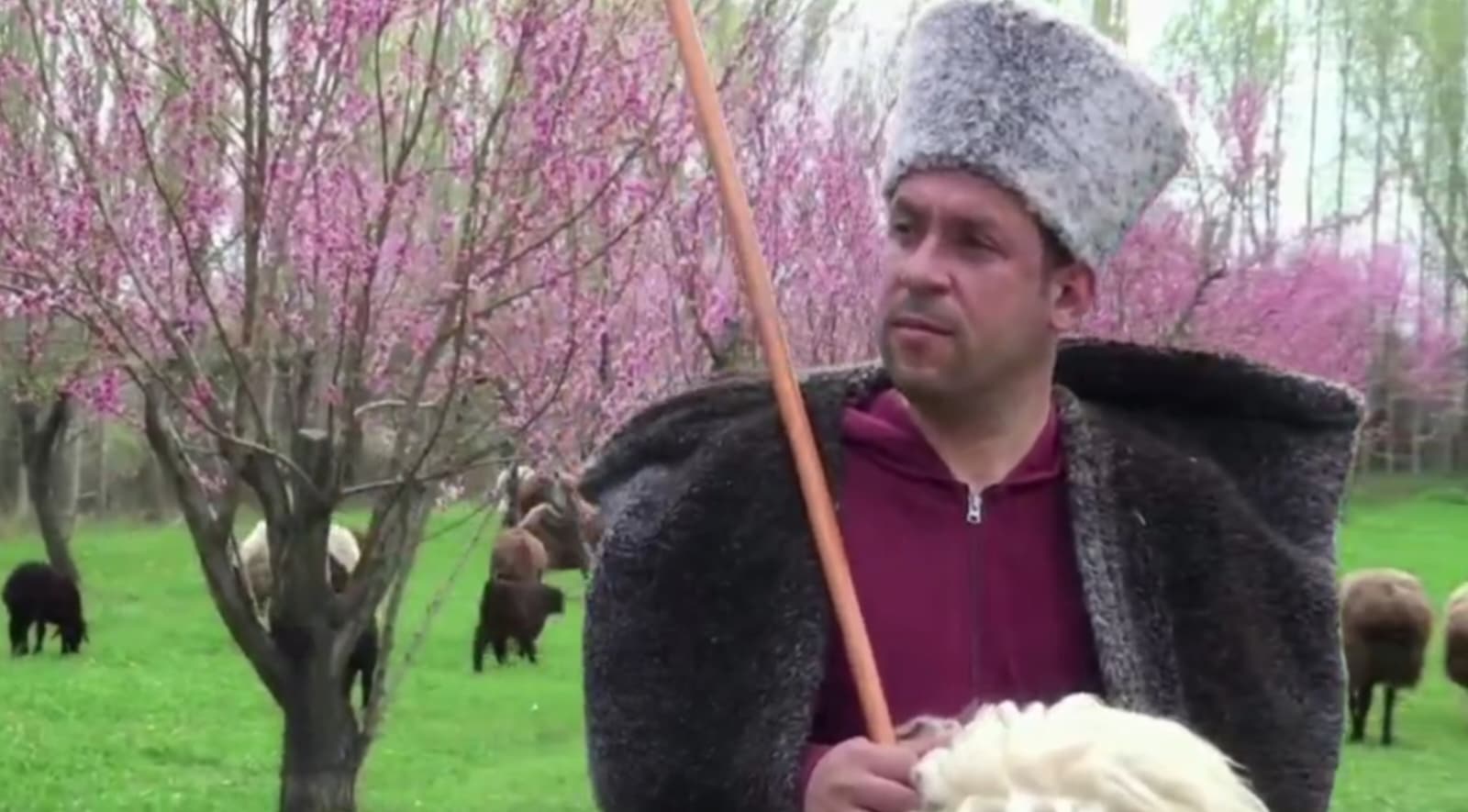 733E4174 D2A2 4491 8B12 0513B1031E49-1