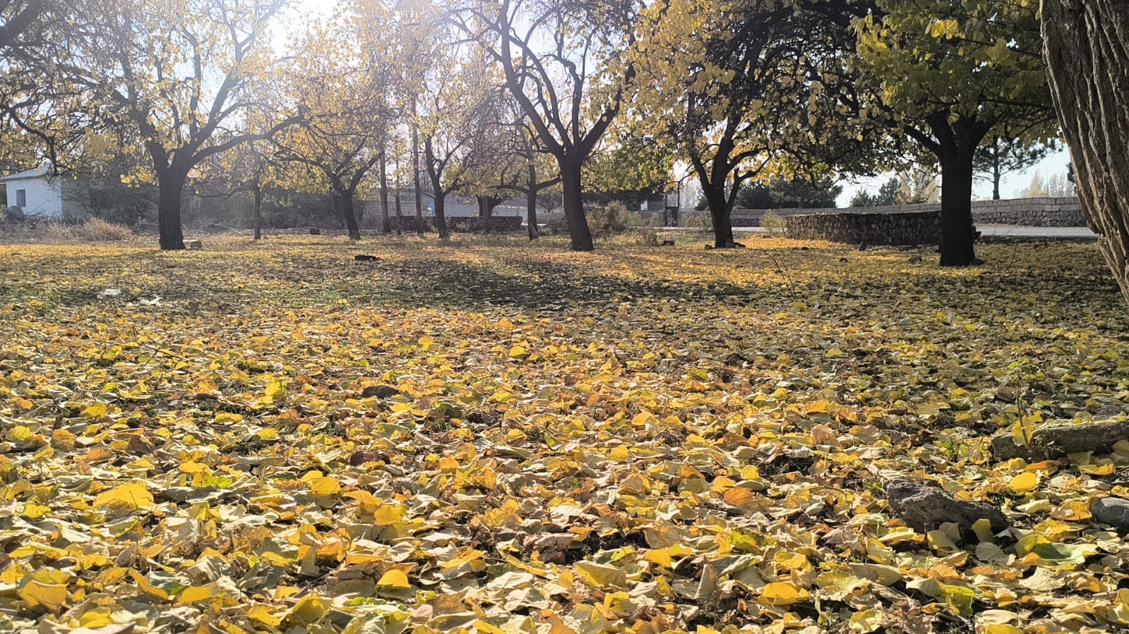 86Bbd461 1822 41B0 913C B5Ff63737569