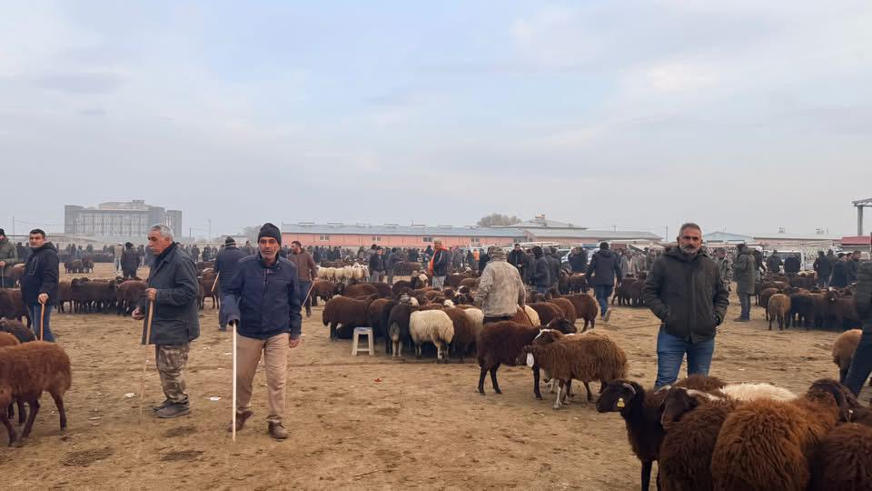 9724162E 75F8 4A70 B336 B7Ef42860Fca