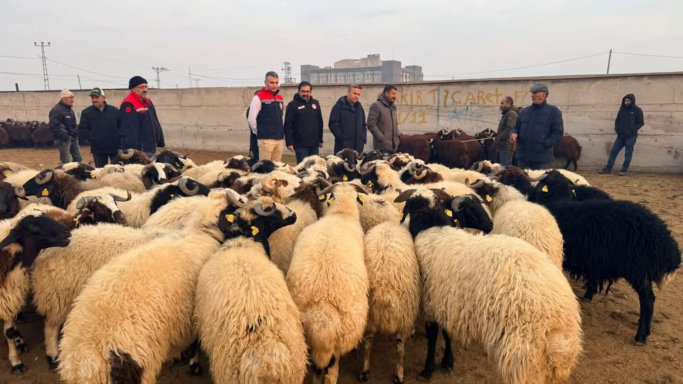 Ab7975C8 3090 4Cd8 A71C 8E9B5C3Ea4B3