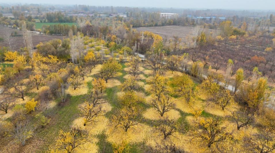 Aeb245A8 D54A 449B 8Fdf 00F20A706Ed3