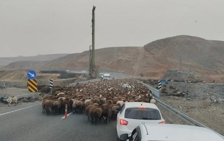 Af93Efcd F02E 47F0 B3Cc 42B8064873Ea