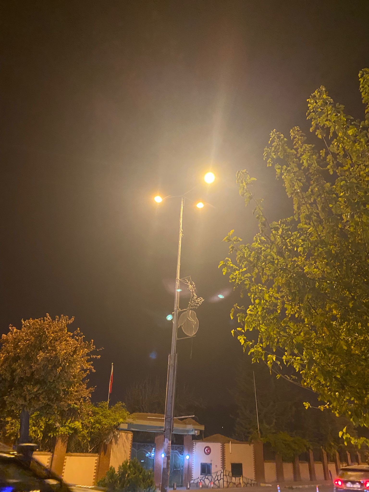 Bb52274E 67F9 4Dc0 B275 920F02B1Cd2A