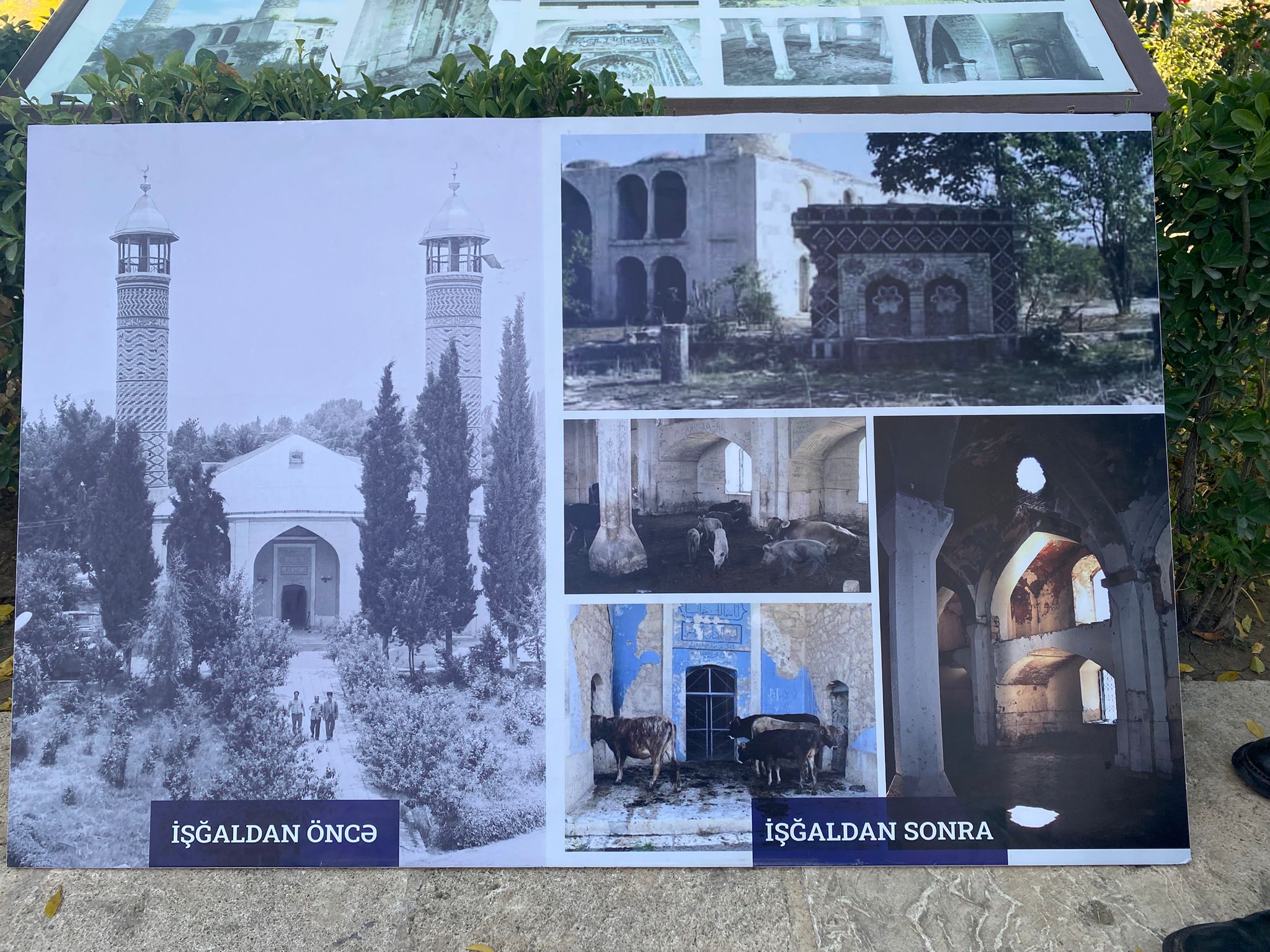 Dbb8B6D2 2Db8 42A9 B172 955F0B807Fb9