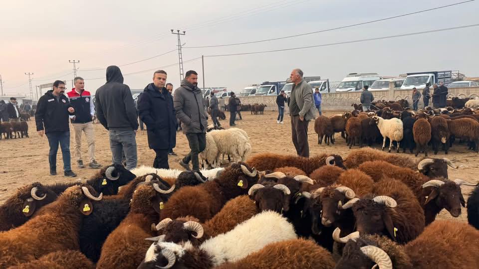 Df552E4E F252 435F A947 47Dabd8692C9