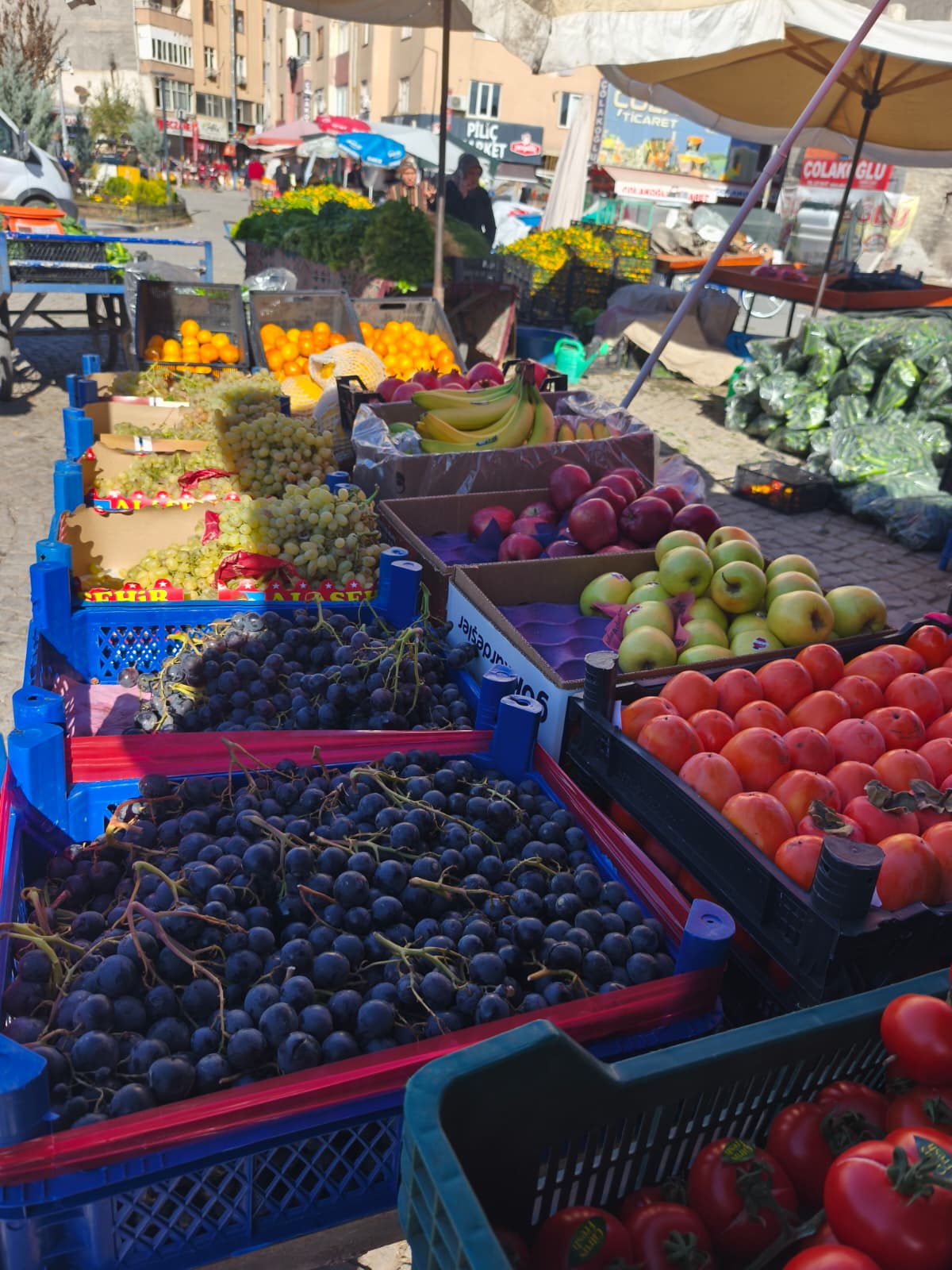 Fe194Ff3 E27B 4Db8 88Db Cf95388F93E9