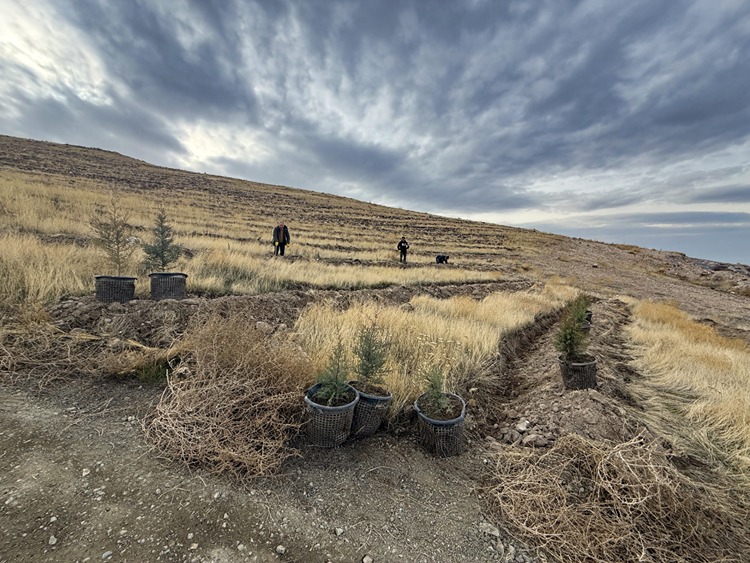 2025 12 20251217 2 72097154 120249418