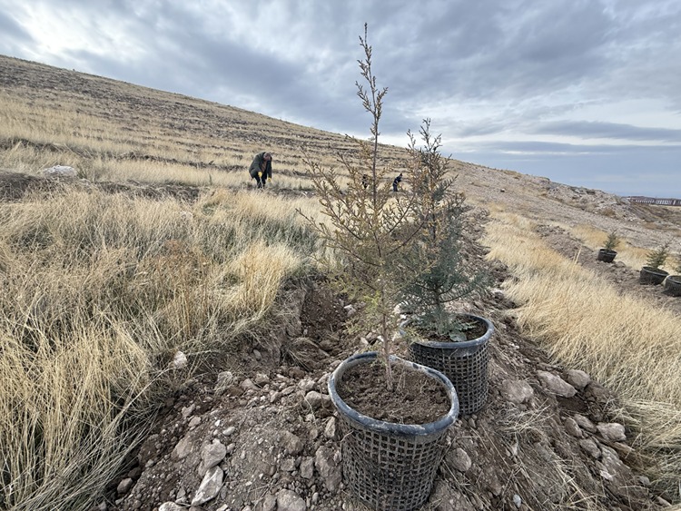 2025 12 20251217 2 72097154 120249419