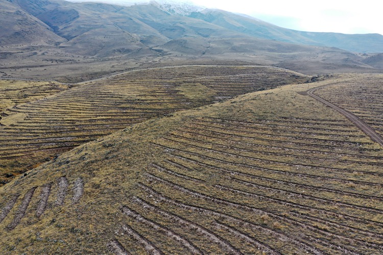 2025 12 20251217 2 72097154 120249422