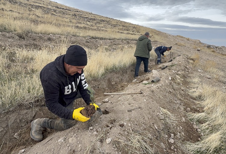 2025 12 20251217 2 72097154 120249426