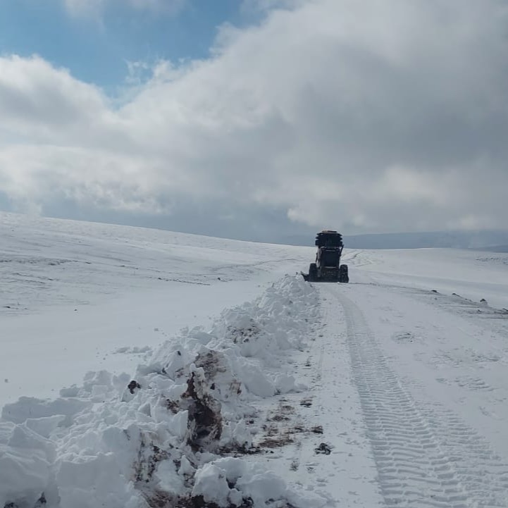 588521221 17921003637198616 7187557164917456661 N